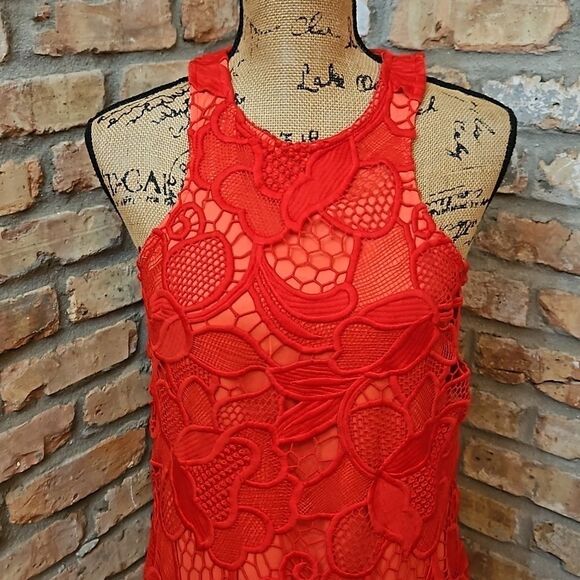 Lovers & Friends Caspian Red Lace sheath dress size Small - Picture 3 of 13